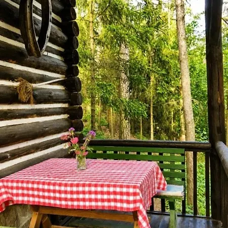 A Stylish Log In The Heart Of The Brdy Forests Holiday home