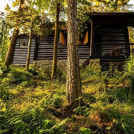 Hébergement de vacances A Stylish Log In The Heart Of The Brdy Forests