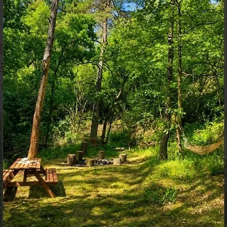 A Stylish Log In The Heart Of The Brdy Forests Hébergement de vacances Mala Hrastice